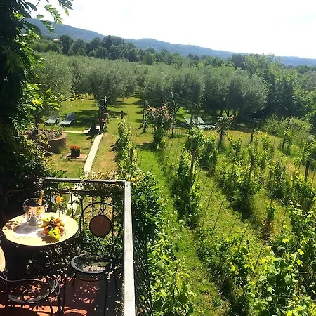 Casaremi Farmhouse Guest house *